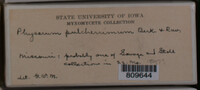 Image Associated With the Occurence